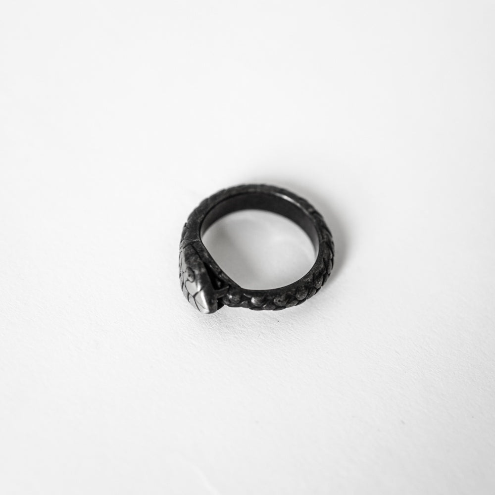 Snake Ouroboros Ring