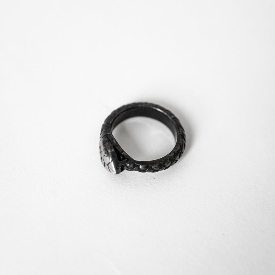 Snake Ouroboros Ring