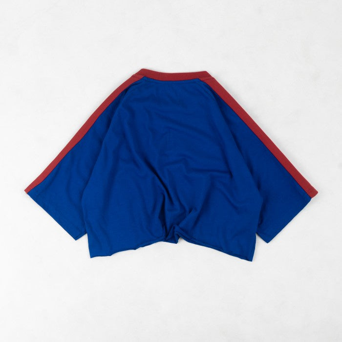 Blue Colorblock Cropped T-Shirt